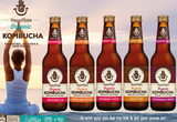 Wild One Organic Happy Hippie Kombucha Ginger Tonic 12x330ml